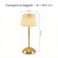 Pleat Lamp